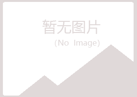 阳春雅山工程有限公司